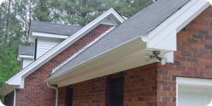 The soffit areas with gutter on them are the gutter runs.